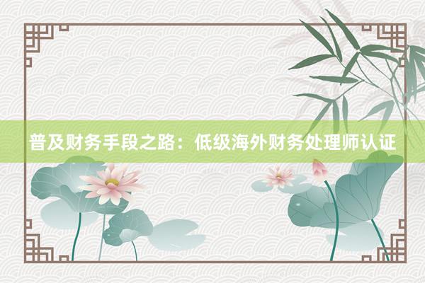 普及财务手段之路：低级海外财务处理师认证