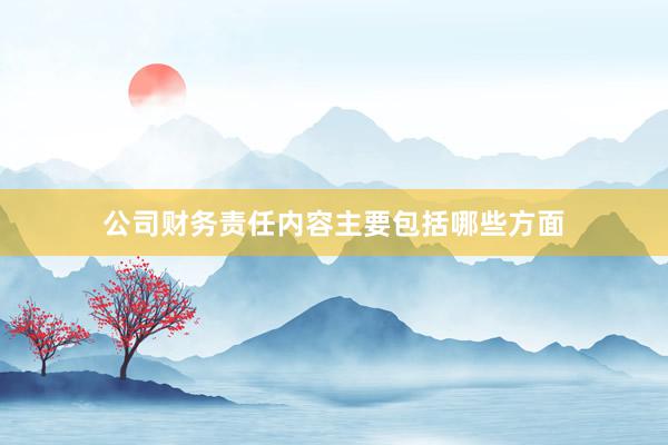 公司财务责任内容主要包括哪些方面