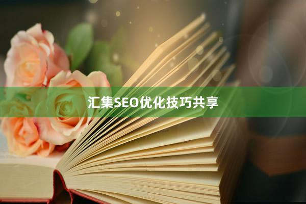 汇集SEO优化技巧共享