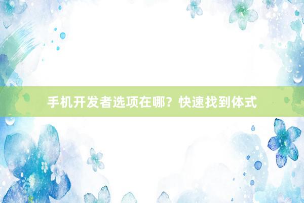 手机开发者选项在哪？快速找到体式